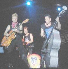 Stray Cats