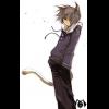 CattSu