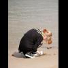 rooar_x