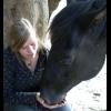 Immy